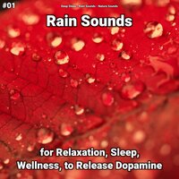 Sounds to Sleep To - Deep Sleep & Rain Sounds & Nature Sounds