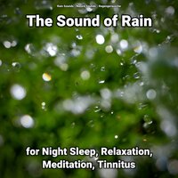 The Sound of Rain for Night Sleep and Relaxation Pt. 68 - Nature Sounds & Rain Sounds & Regengeräusche