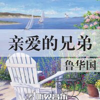 亲爱的兄弟 - 鲁华国