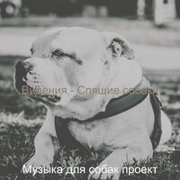 Видения - Спящие собаки