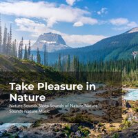 Crystal Clear Ocean - Nature Sounds & Nature Sounds Nature Music & Sleep Sounds Of Nature