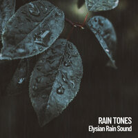 Gentle Drizzle - Weather and Nature Recordings & Nature Sounds Nature Music & Concentration Music for Work