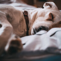 40 Ambient Tracks for Sleep