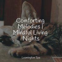 Comforting Melodies | Mindful Living Nights