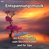 Ohne Stress in der Flora - Entspannungsmusik & Schlafmusik & Entspannungsmusik Bodo Steier