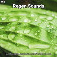 Regen Sounds, pt. 63 - Regen zum Einschlafen Annelie Reys & Naturgeräusche & Schlafmusik