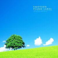 Emotional Piano That Trim The Complex Mind