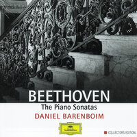 Beethoven: The Piano Sonatas