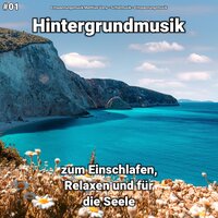 Spielen am Fenster - Entspannungsmusik & Schlafmusik & Entspannungsmusik Matthias Veny
