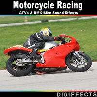Yamaha 250 Beartracker Atv Start and Revving Version 1 - Digiffects Sound Effects Library