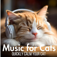 Kitty Composer's Dream - Relax My Cat & Cat Music Dreams & Cat Music Zone