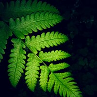 40 Enlivening Sounds for Spa and Meditation