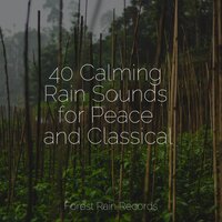 Soothing River - meditacou musica ambiente & Mother Nature FX & Baby Sleep