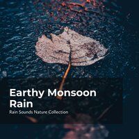 Rainfall on Grassland - ASMR Rain Sounds & Rain Sounds Nature Collection & Sleepy Rain