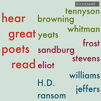 Stevens - Bantams in Pine-Woods - Wallace Stevens