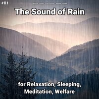 Rain Sounds at Home - Calming Sounds & Rain Sounds & Nature Sounds