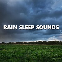 Brisk Afternoon Pouring Rain Sounds - Deep Sleep