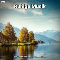 Anregende Andeutung - Entspannungsmusik & Schlafmusik & Entspannungsmusik Sina Donen