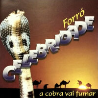 Toc Toc - Forró Celebridade