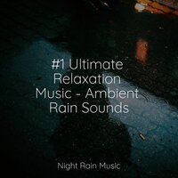 #1 Ultimate Relaxation Music - Ambient Rain Sounds