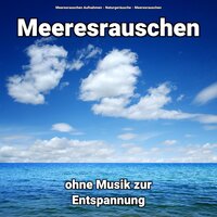 Reiki - Naturgeräusche & Meeresrauschen & Meeresrauschen Aufnahmen