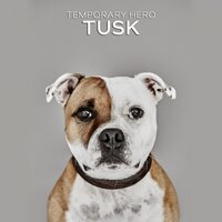 TUSK
