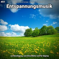 Sounds zum Lernen - Entspannungsmusik Paul Esgen & Schlafmusik & Entspannungsmusik