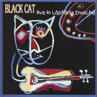 Lucky Guy - BLACK CAT