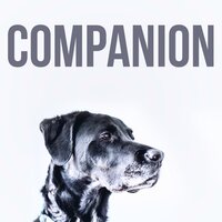Hold On - Dog Music Club & Sleepy Dogs & Dog Music Experience
