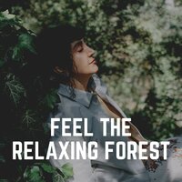 Feel the Relaxing Forest