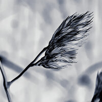 15 - 4