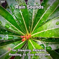 Adorable Path - Rain Sounds & Nature Sounds & Rain Sounds by Alannah Merikanto