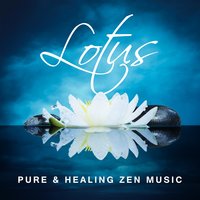 Spiritual Meditation - Relaxing Zen Music Ensemble