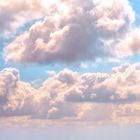 2020 Sonidos De Naturaleza Pacífica Para Un Ambiente Conmovedor
