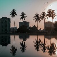 Beach House Zen - Calming Sounds & Deep Sleep Music Experience & Baby Sweet Dream