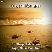 Ocean Sounds Part 44 - Ocean Sounds by Viviana Fernsby & Nature Sounds & Ocean Sounds