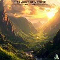 Yoga Support - Beautiful Orchestral Classical Music