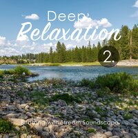 Birdsong with Stream Soundscape, Pt. 11 - Craig Hewitt