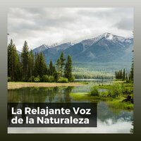 La Relajante Voz de la Naturaleza