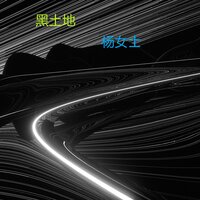 黑土地 - 杨女士