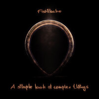 A Simple Look at Complex Things