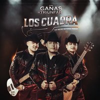 Ay Amor - Los Cuadra