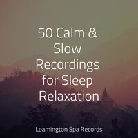 Calm Seas - Echoes of Nature & Mindfulness Meditation Universe & Nature Sounds